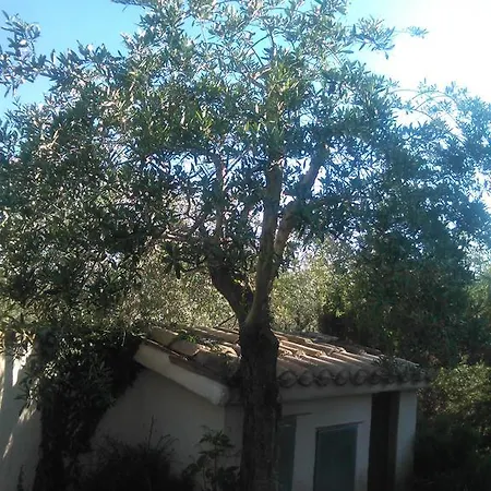 مزرعة للإقامة Agriturismo Casa Antonini *