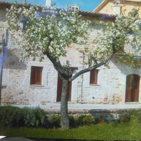 Farm stay Agriturismo Casa Antonini *