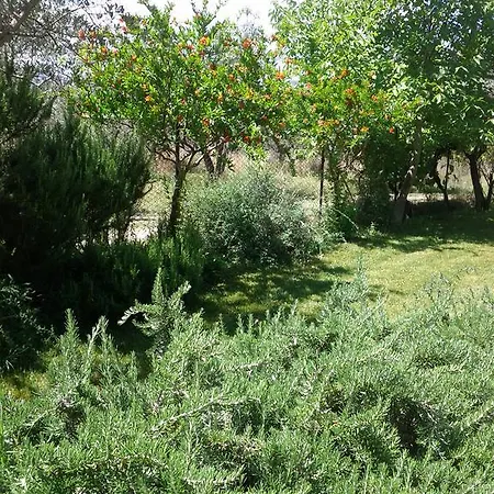 Farm stay Agriturismo Casa Antonini *