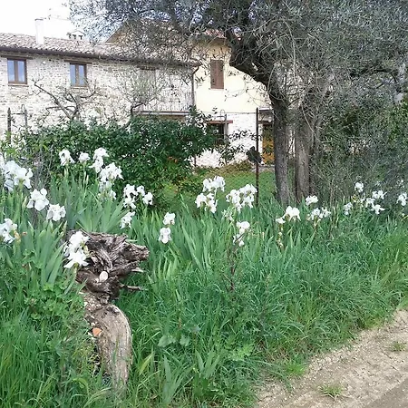 Agriturismo Casa Antonini Farm stay
