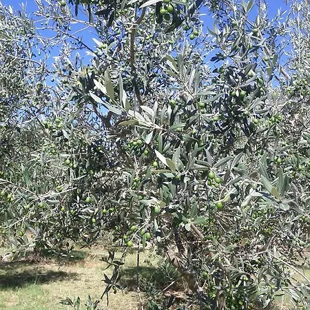 Agriturismo Casa Antonini *