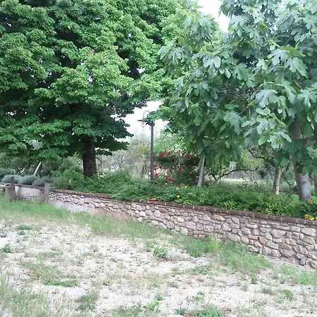 Farm stay Agriturismo Casa Antonini
