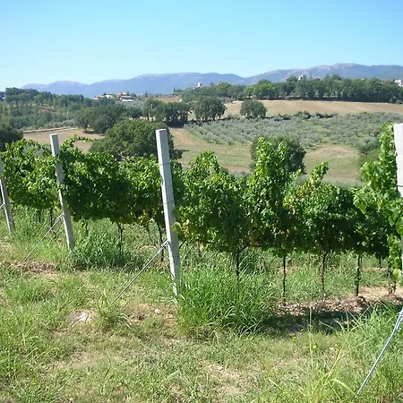 Agriturismo Casa Antonini