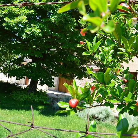 Agriturismo Casa Antonini Farm stay