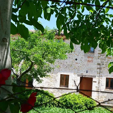Farm stay Agriturismo Casa Antonini *